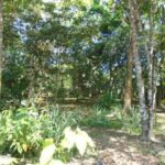 listing image thumbnail with ID 78534