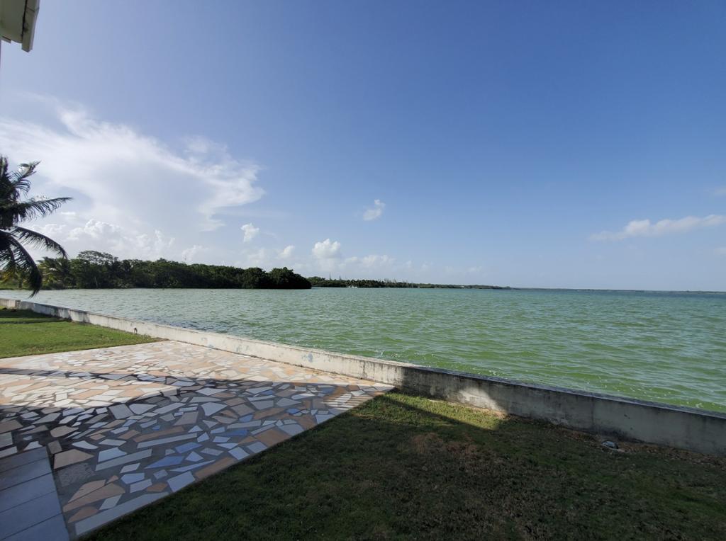 listing image with ID 104735