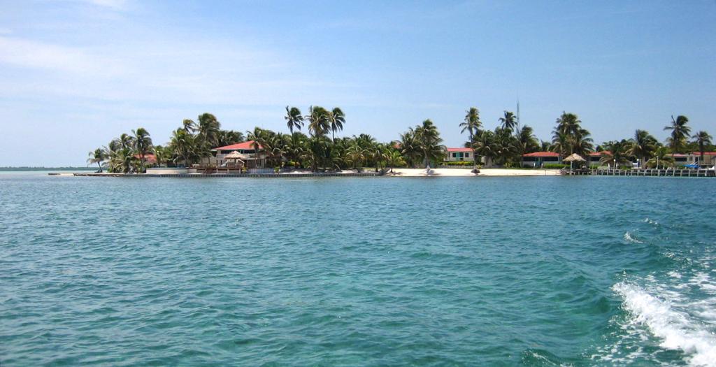 listing image with ID 90002