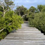 listing image thumbnail with ID 103275