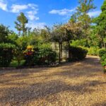 listing image thumbnail with ID 98164