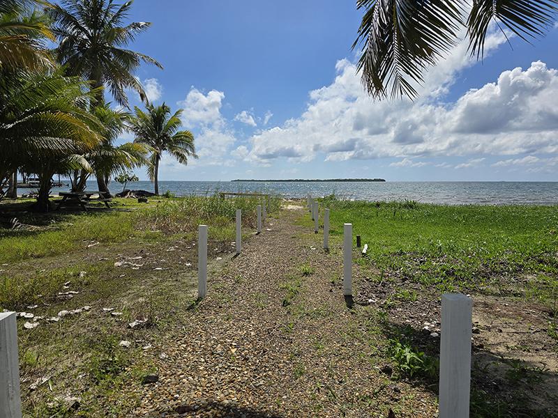 listing image with ID 87651