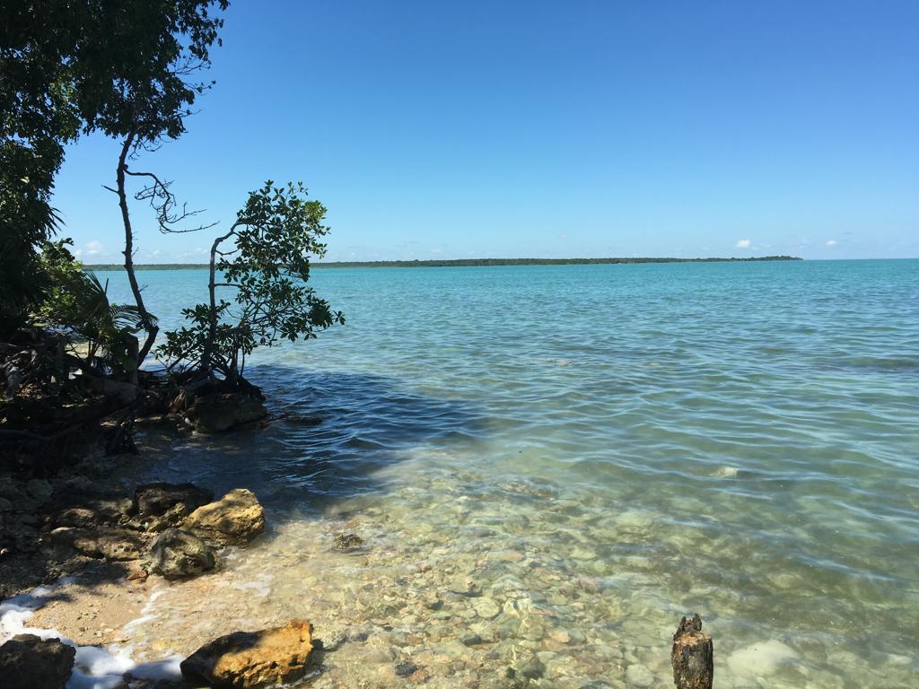 listing image with ID 78253
