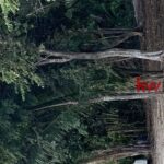listing image thumbnail with ID 85930