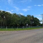 listing image thumbnail with ID 78991