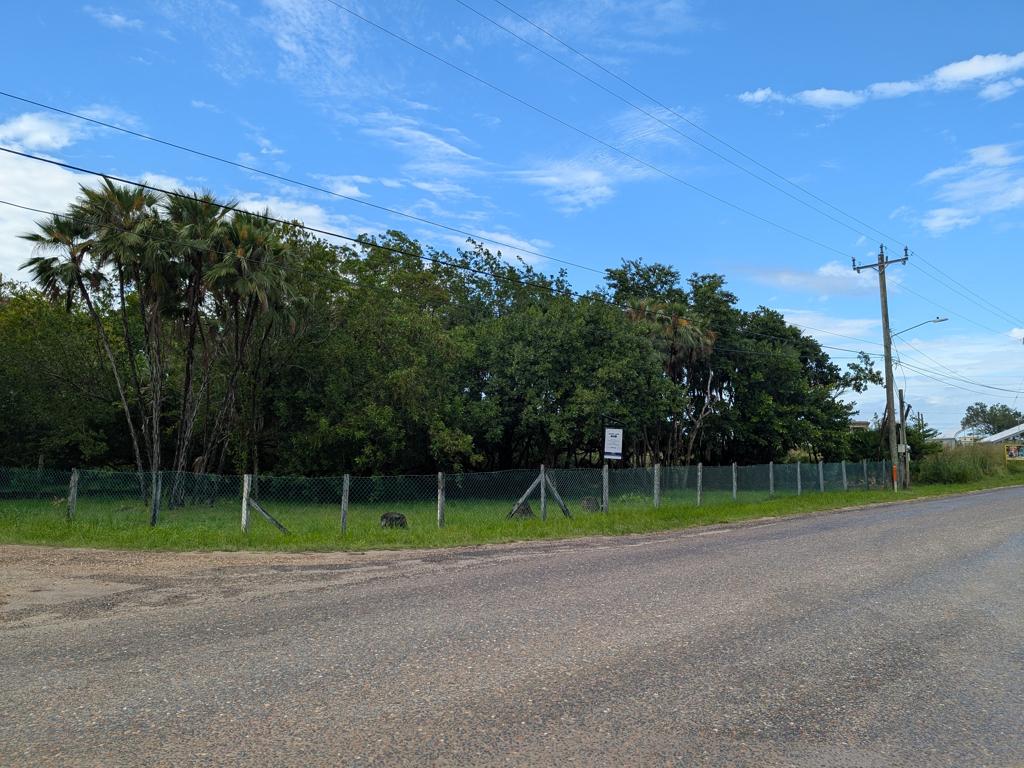 listing image with ID 78991