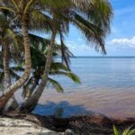 listing image thumbnail with ID 85920