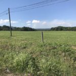 listing image thumbnail with ID 102125