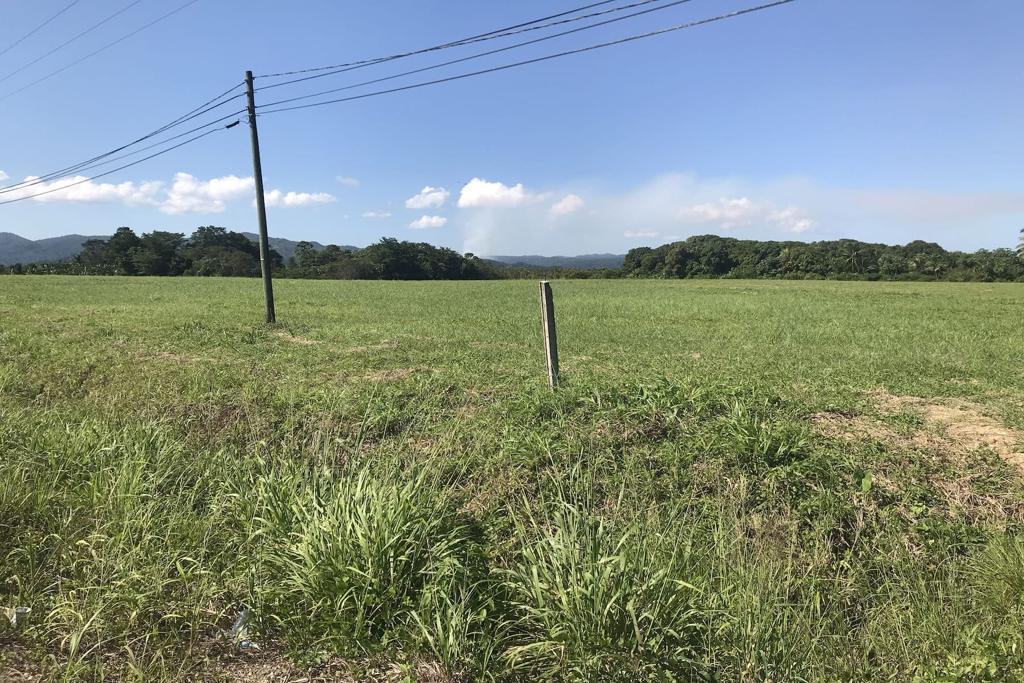 listing image with ID 102125
