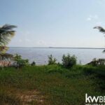 listing image thumbnail with ID 91140