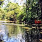 listing image thumbnail with ID 93975