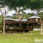 listing image thumbnail with ID 91991