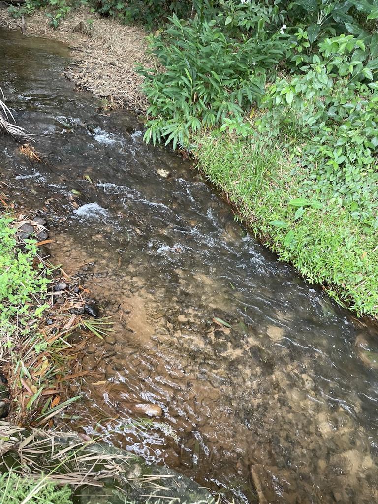 listing image with ID 81803