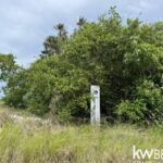 listing image thumbnail with ID 84391