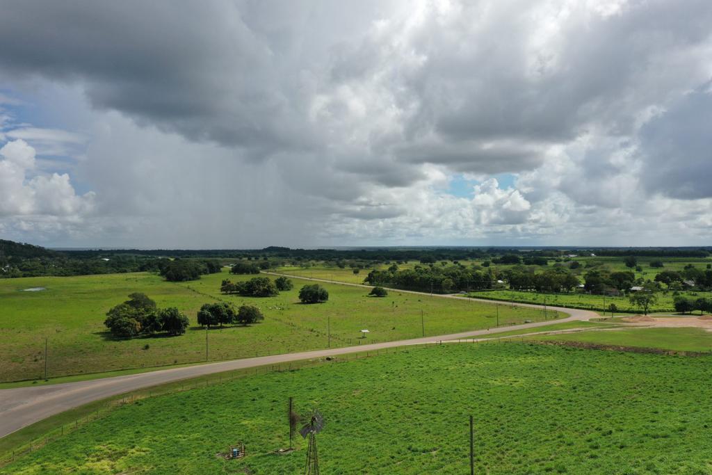listing image with ID 82795