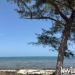 listing image thumbnail with ID 93188