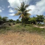 listing image thumbnail with ID 80364