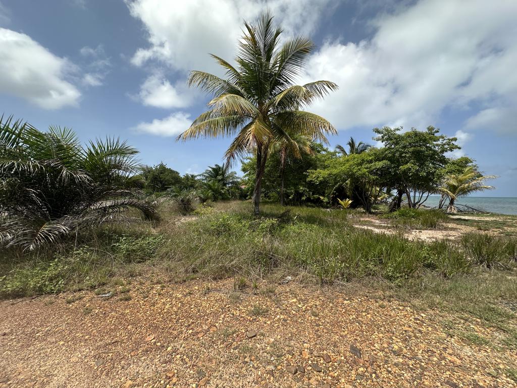 listing image with ID 80364
