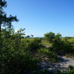 listing image thumbnail with ID 75764