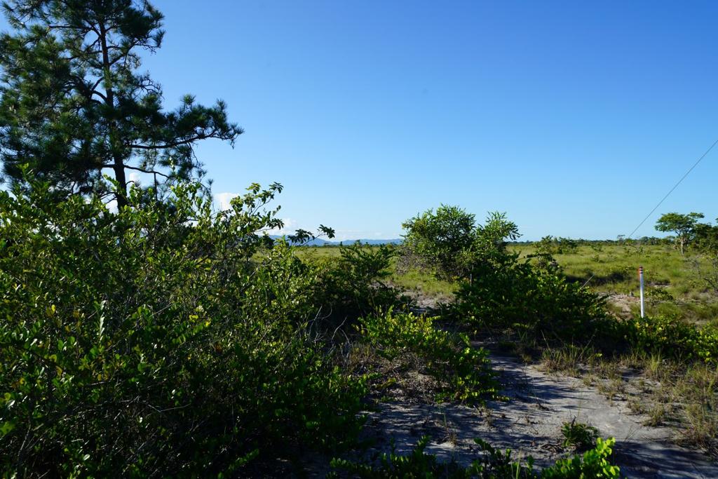 listing image with ID 75764