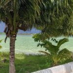 listing image thumbnail with ID 94133