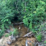 listing image thumbnail with ID 100777