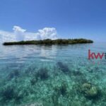 listing image thumbnail with ID 85993