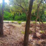 listing image thumbnail with ID 102722