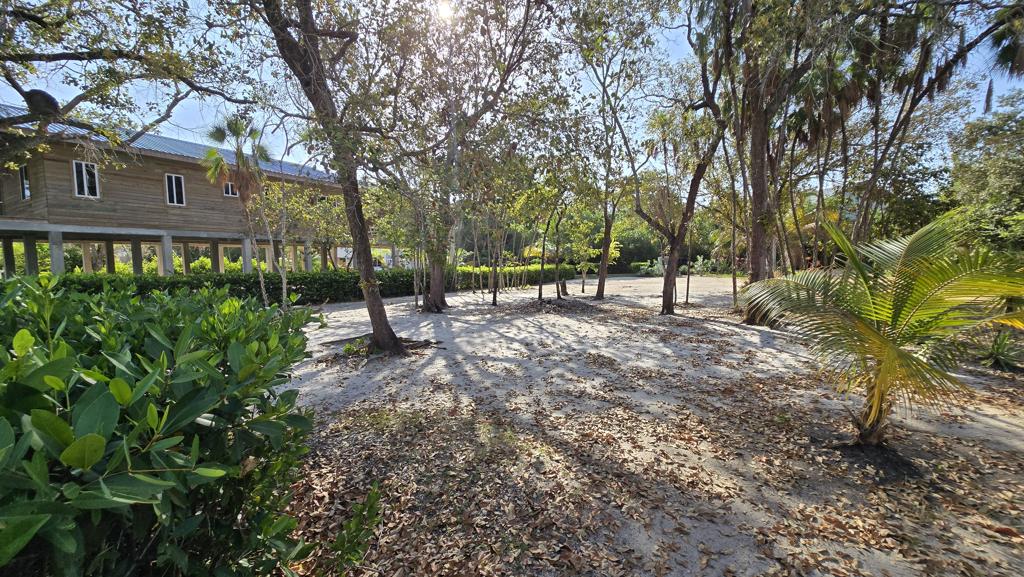listing image with ID 104532