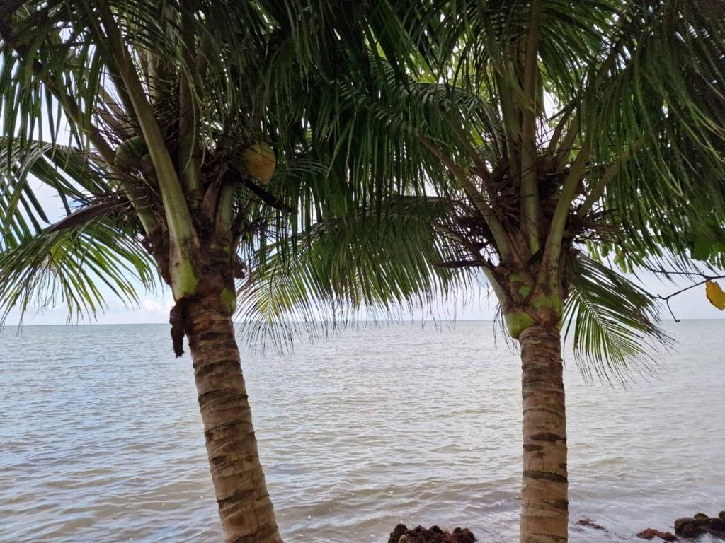 listing image with ID 76072