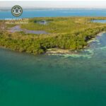 listing image thumbnail with ID 74333