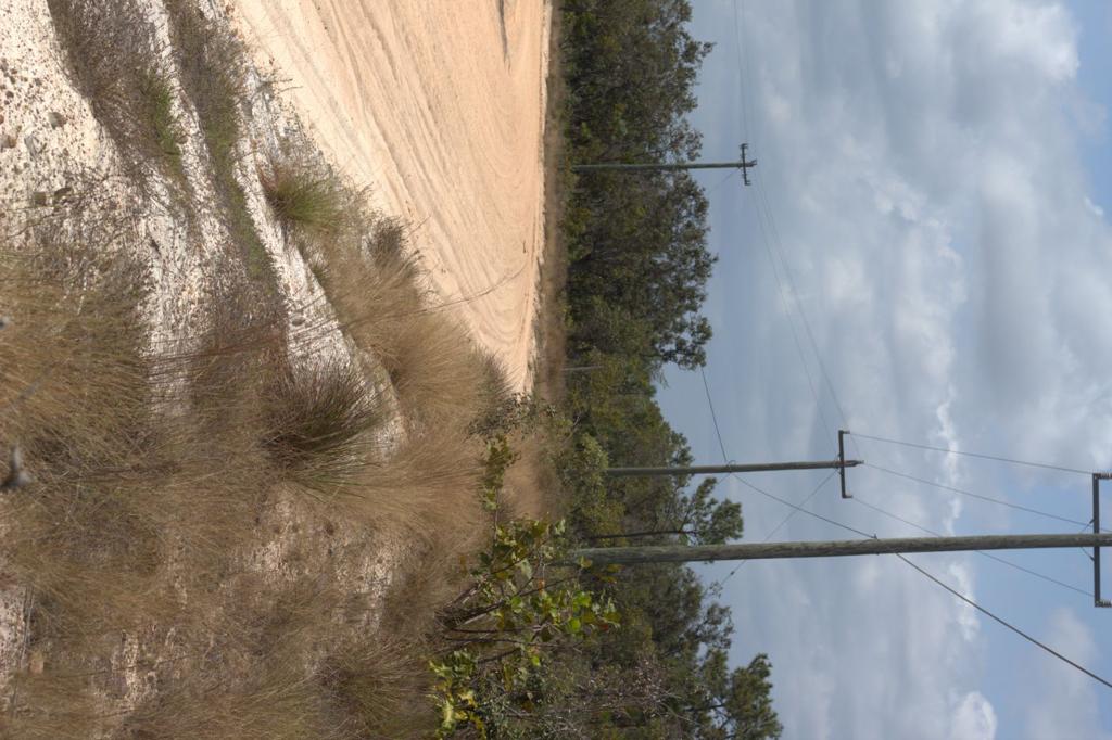 listing image with ID 80338