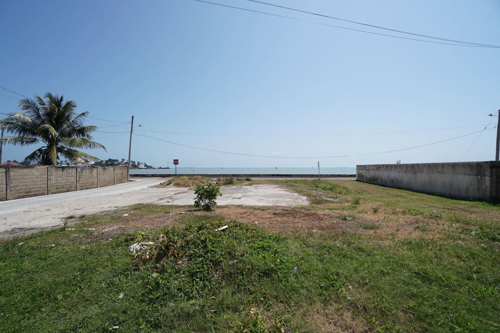 listing image with ID 89766