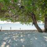 listing image thumbnail with ID 96699