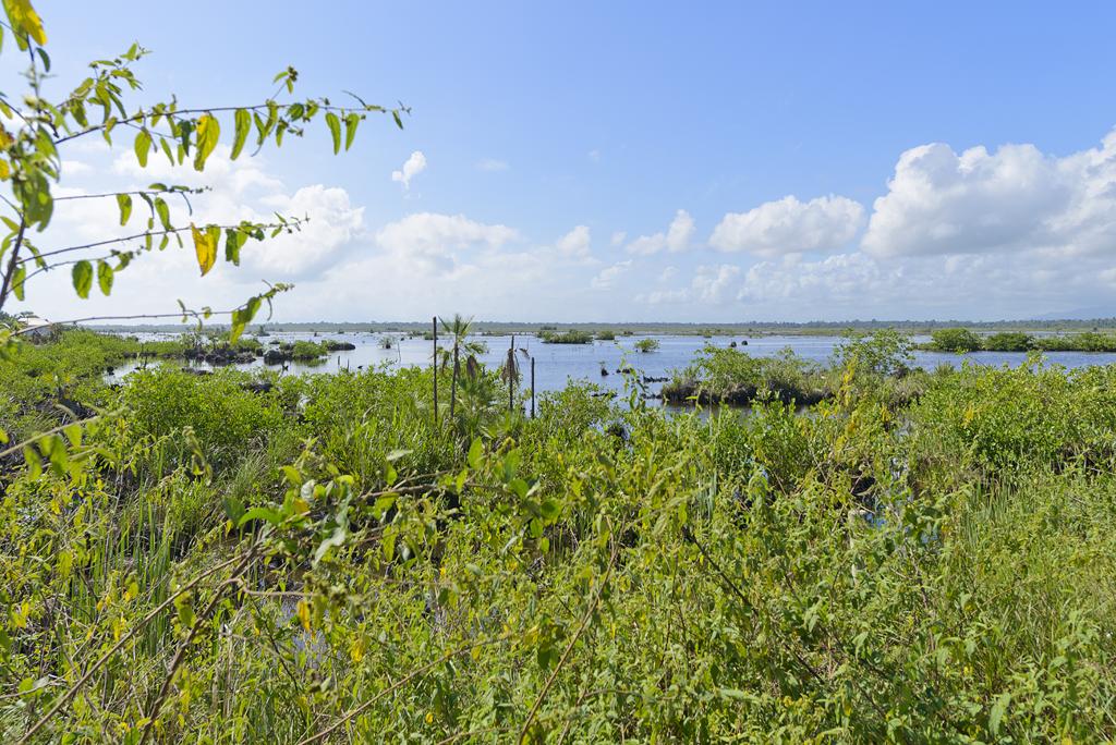 listing image with ID 80970