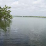 listing image thumbnail with ID 95525