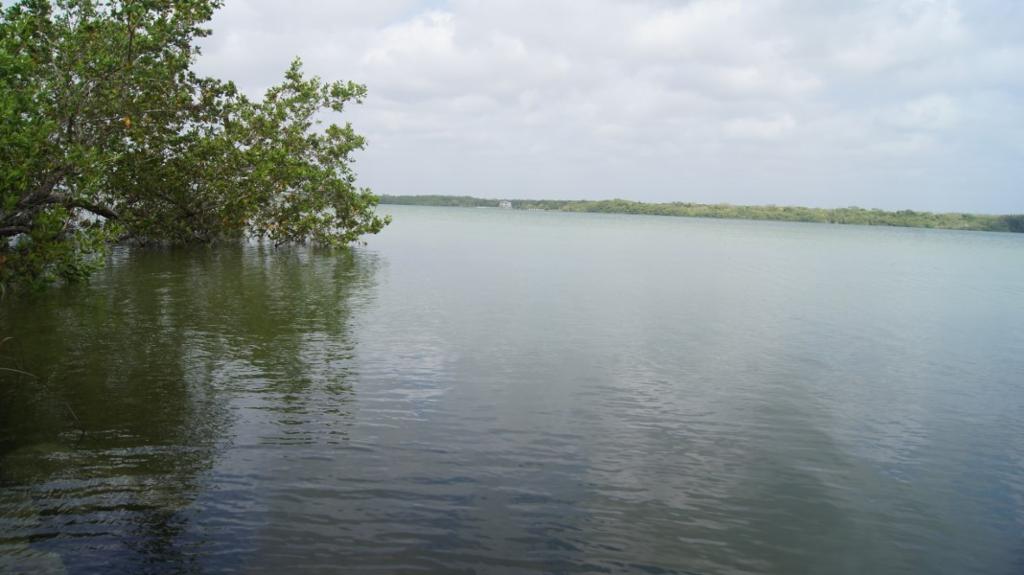 listing image with ID 95525