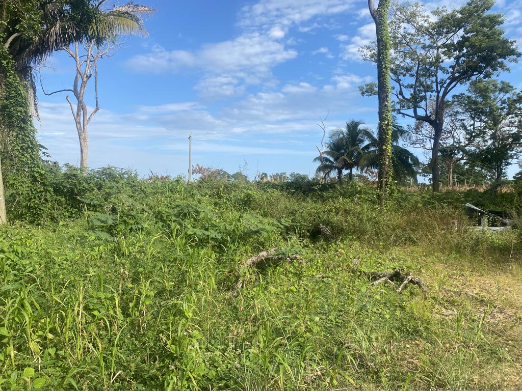listing image with ID 77851