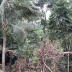 listing image thumbnail with ID 81798