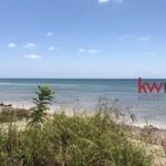 listing image thumbnail with ID 80299