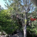listing image thumbnail with ID 87958