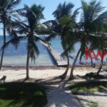 listing image thumbnail with ID 108413
