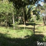 listing image thumbnail with ID 105293