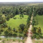 listing image thumbnail with ID 88090