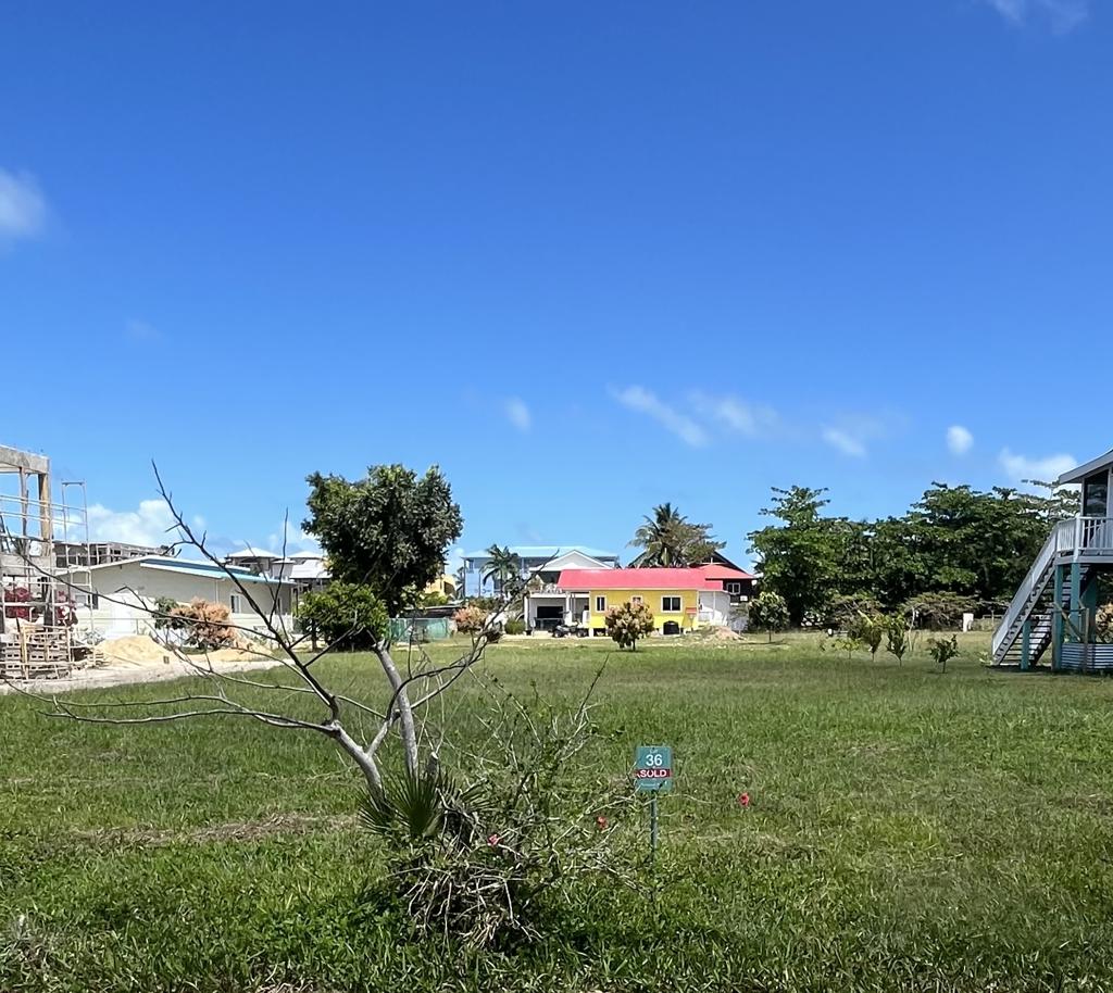 listing image with ID 101121