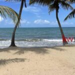 listing image thumbnail with ID 97878