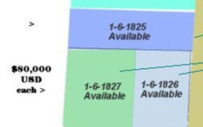 listing image with ID 91451