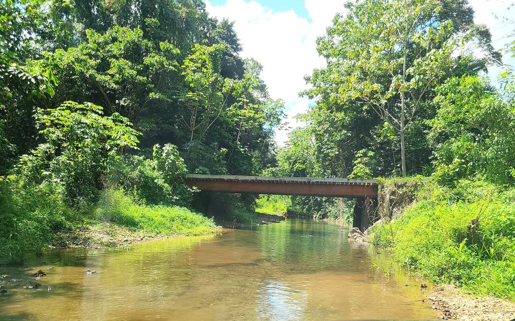 listing image with ID 100258