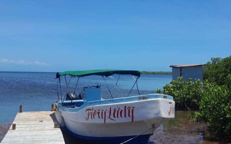 listing image with ID 93935