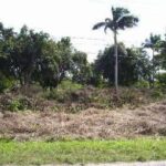 listing image thumbnail with ID 105660